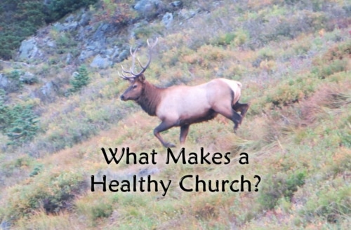 what makes for a healthy church?