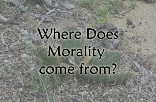 source of morality