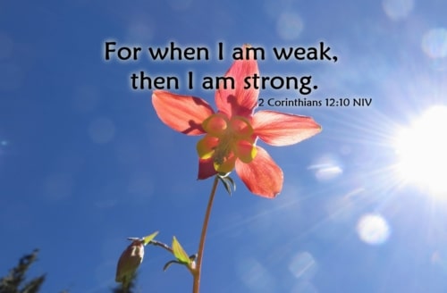 strength in weakness