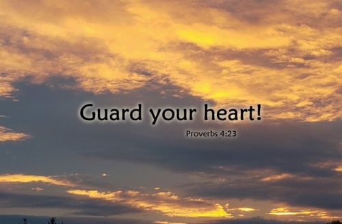 Guard your heart