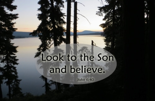 look to the Son and believe