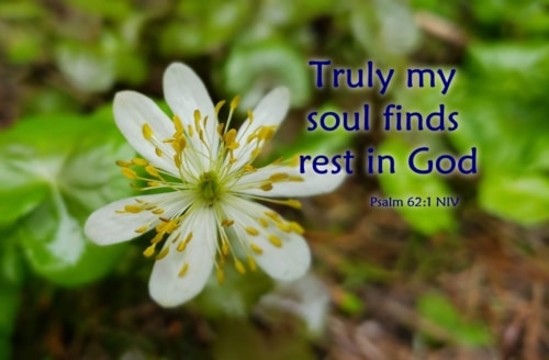 My Soul Finds Rest in God