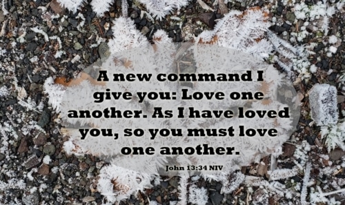 a new command: love one another