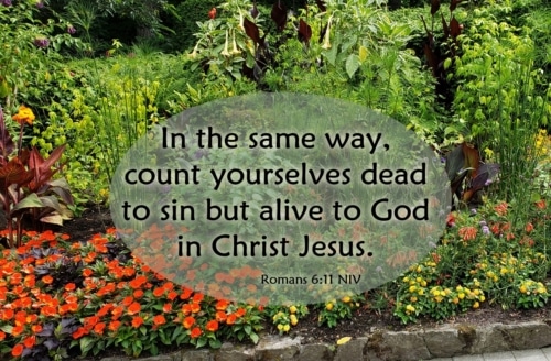 dead to sin alive in Christ