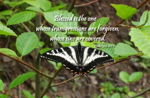 blessed is the one whose sin is forgiven