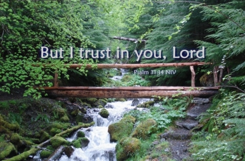 I trust in you Lord