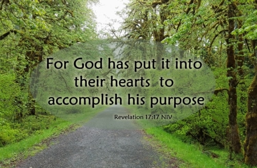 carrying out God's Purpose