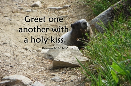 greet one another with a holy kiss