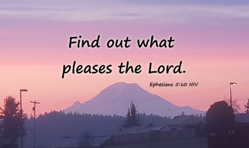 find out what pleases the Lord