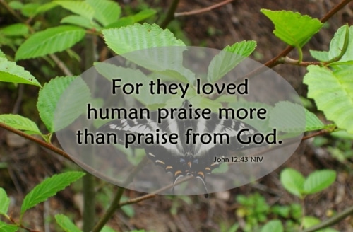 loving human praise