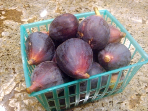 baskets of figs