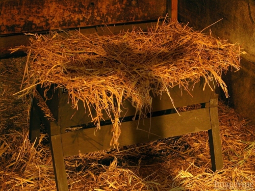 manger and the cross