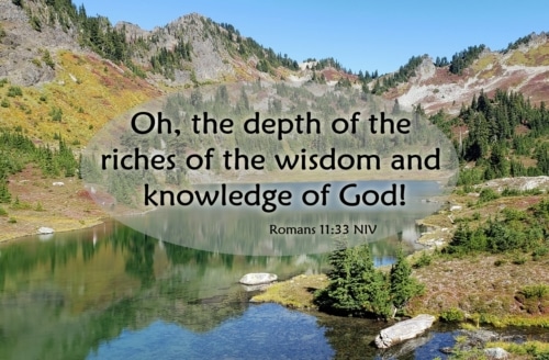 We should not question the wisdom of God and his understanding