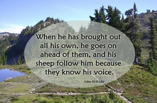 following the good shepherd
