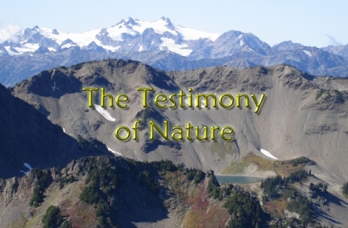 The testimony of nature