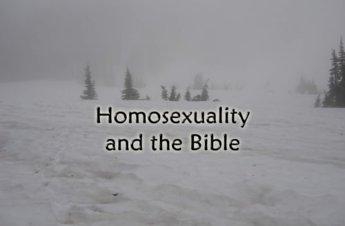 homosexuality and the Bible