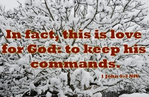 Loving God Means Keeping His Commands