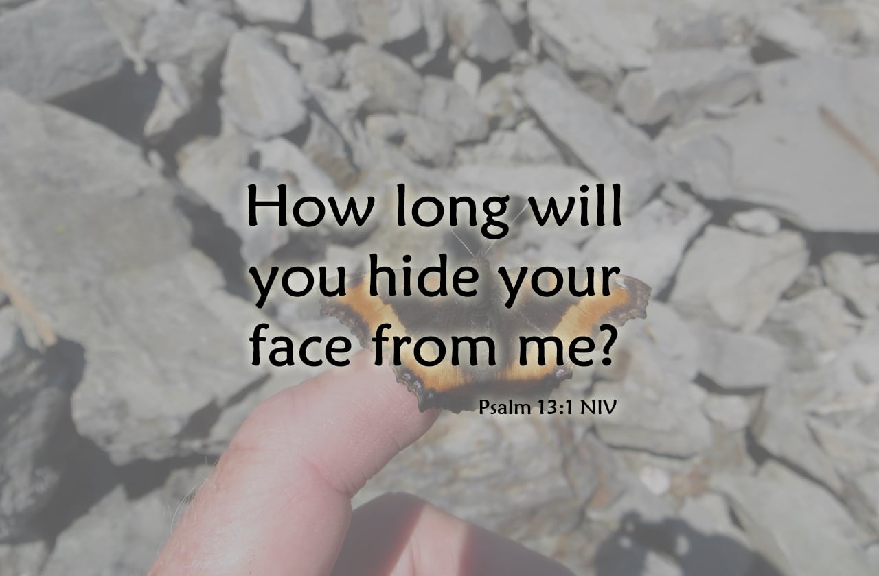 How Long Will You Hide Your Face From Me - Psalm 13:1, 5-6 - A