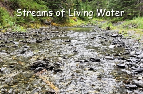 streams of living water welling up into eternal life
