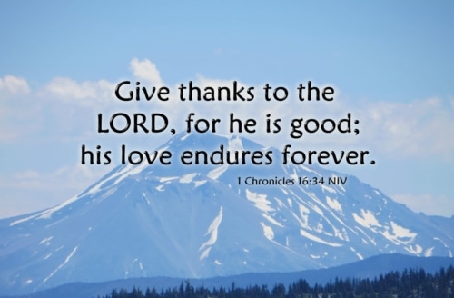 give thanks to the Lord