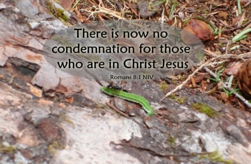 no condemnation for those who are in Christ Jesus