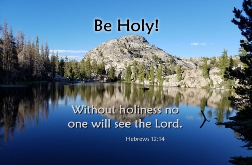holiness is essential