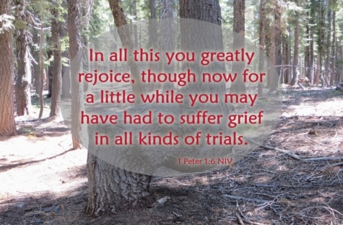 Rejoicing in the Midst of Trials
