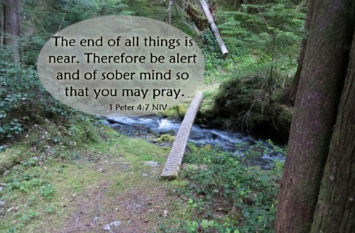 Be Alert and of Sober Mind