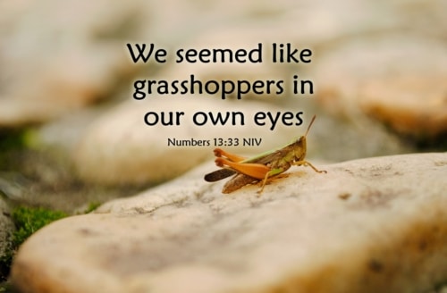 like grasshoppers in our own eyes