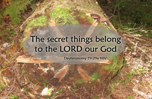 The Secret Things Belong to the Lord