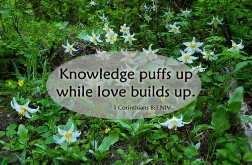 Knowledge Puffs Up; Love Builds Up