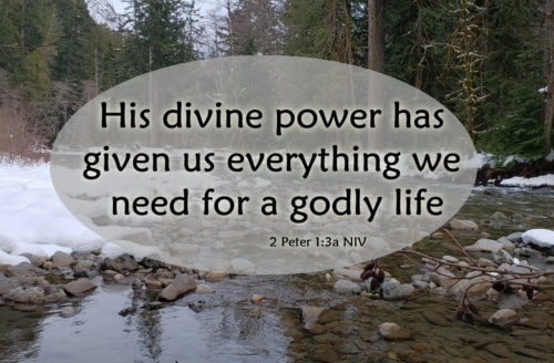Everything We Need for Godliness