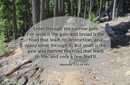 enter through the narrow gate