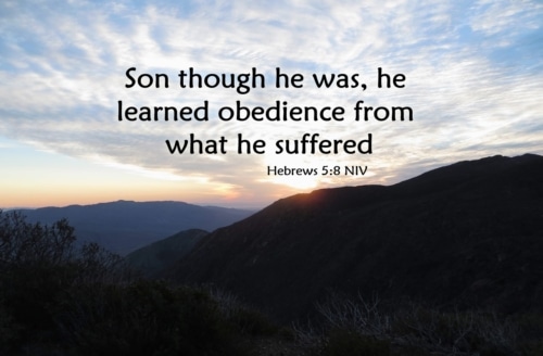 obedience learned through suffering