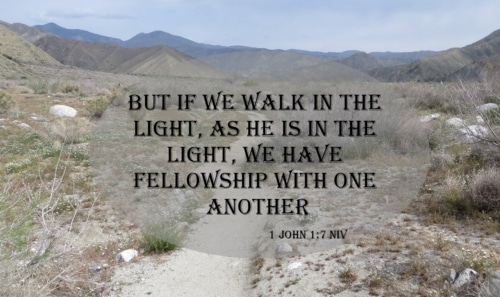 walk in the light
